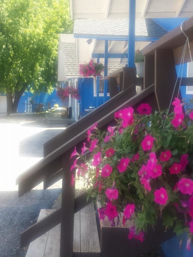 The Brookside Motel / Mt. Rushmore Keystone Bagian luar foto